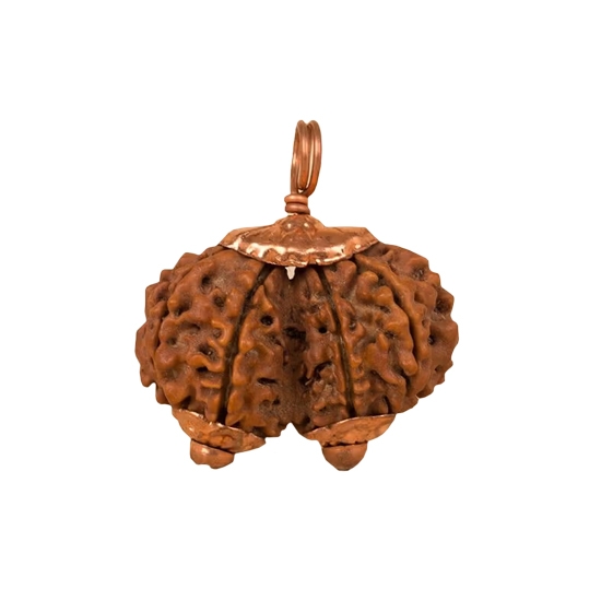 Consecrated Isha Gauri-Shankar Rudraksha